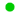 绿色圆点